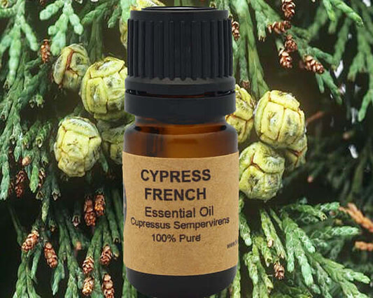 Cypress Essential Oil 10ml bottle, 100% pure Cupressus sempervirens, set against a backdrop of cypress needles.