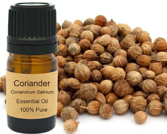 Coriander Essential Oil 15ml bottle with coriander seeds in the background, 100% pure, natural aroma.