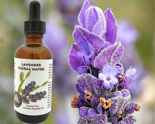 Lavender floral water bottle next to lavender flowers, highlighting its aromatic essence and mild properties.