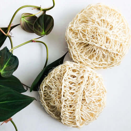 Natural organic sisal deluxe shower sponge for exfoliating skin and removing toxins, surrounded by green leaves.