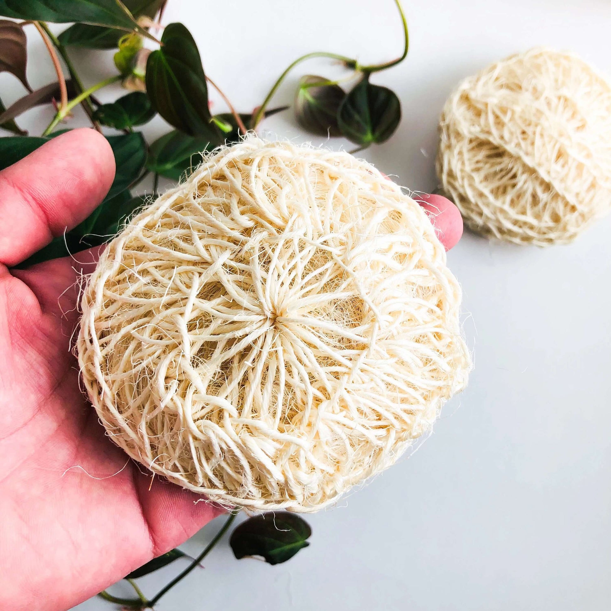 Natural organic sisal deluxe shower sponge held in hand for exfoliating skin and removing toxins.