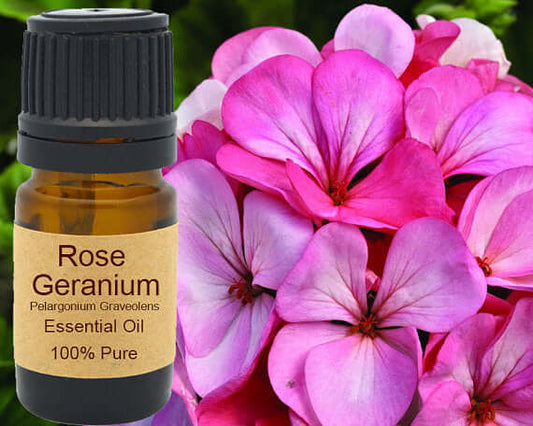 Rose Geranium Essential Oil 15ml bottle with pink geranium flowers in background, 100% pure Pelargonium graveolens.