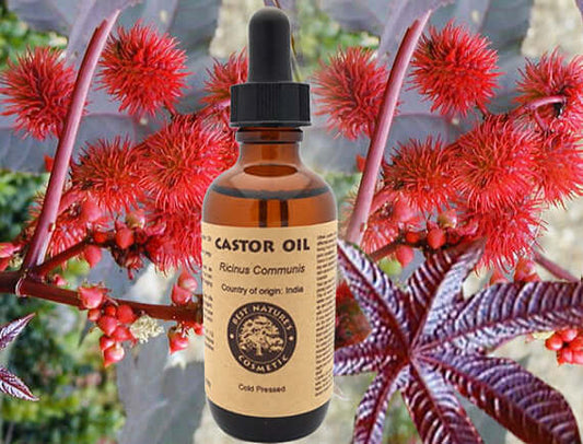 Organic cold-pressed castor oil bottle with red castor bean plant in background, ideal for moisturizing dry skin.
