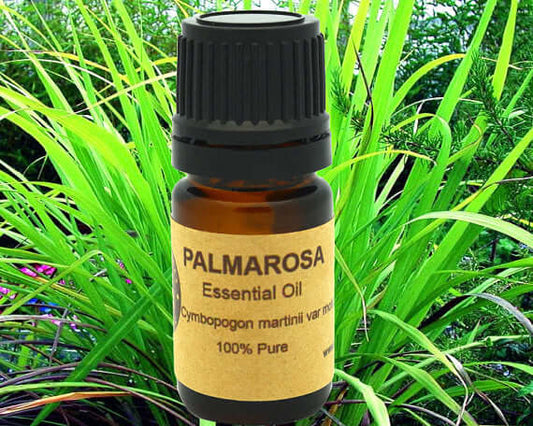 Palmarosa Essential Oil 15ml bottle with label, pure Cymbopogon martinii var motia, set against green grass background.