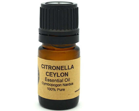 Citronella Essential Oil (Ceylon) 15 ml in an amber bottle with label detailing Cymbopogon nardus.