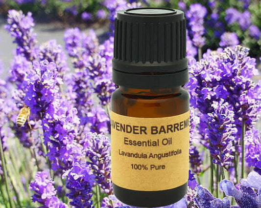 Lavender Barreme essential oil bottle in front of blooming lavender fields, highlighting its calming properties.