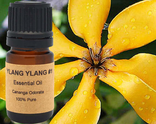 Ylang Ylang Essential Oil bottle in front of a vibrant yellow flower, highlighting its 100% pure Cananga Odorata origin.